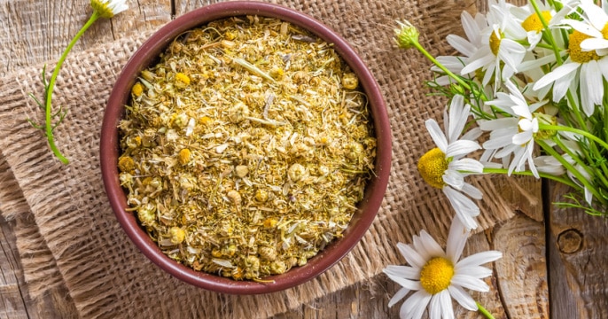 10 Natural Herbs You Should Stock Up On