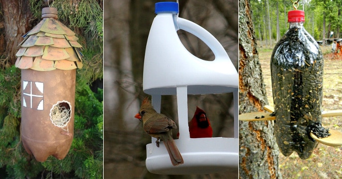 Creative Ways to Use an Old Bottle: Bird Feeders