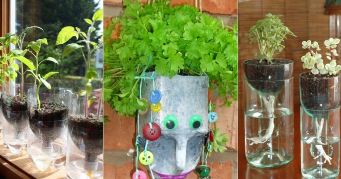 Creative Ways to Use an Old Bottle: Herb Holders