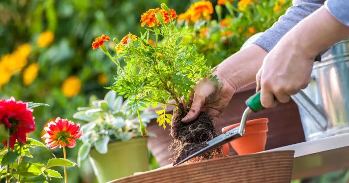 10 Hobbies to Turn into a Full Time Job