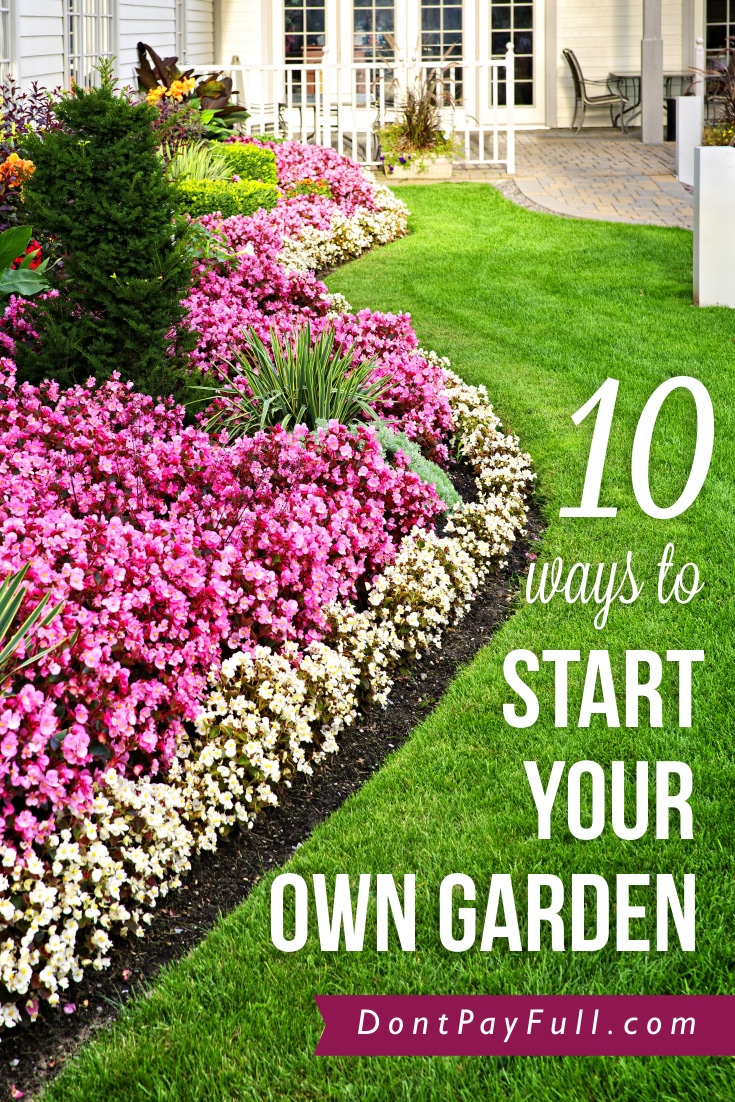 10 Ways to Start Your Own Garden