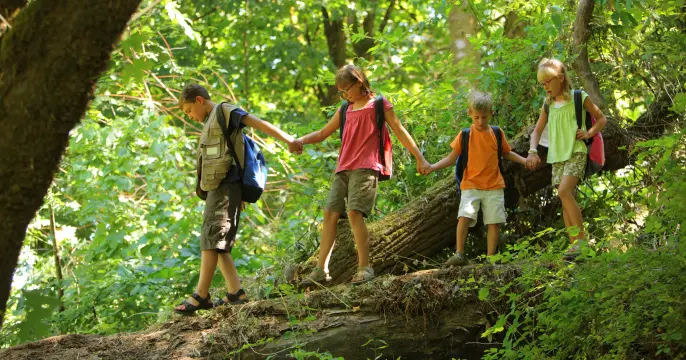 15 Affordable Summer Camps for Kids