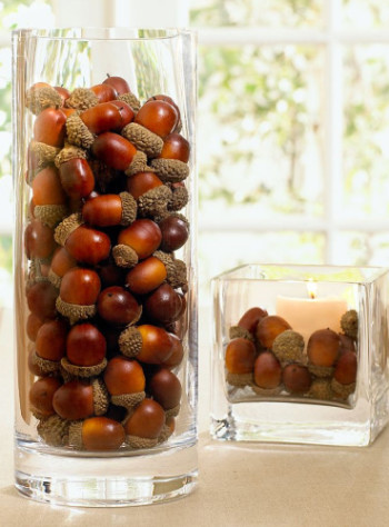 Fun and Affordable Acorn Crafts Anyone Can Make