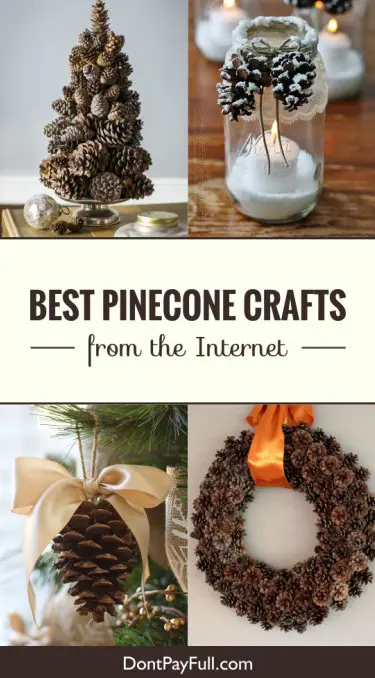 20 Best Pinecone Crafts from the Internet