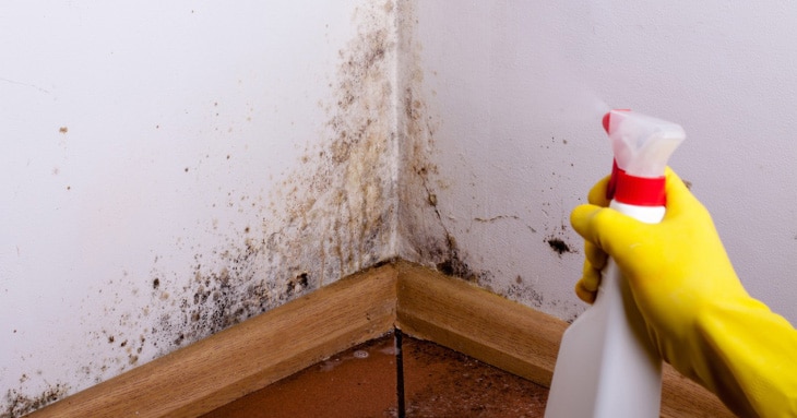 How to get rid of mildew smell in house