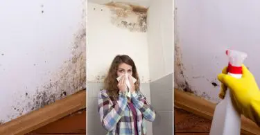 10 Cheap Ways to Get Rid of that Awful Mildew Smell