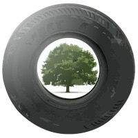 Trees for Cars App