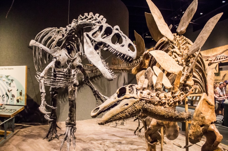 Free Things to Do in Denver: Denver Museum of Nature and Science