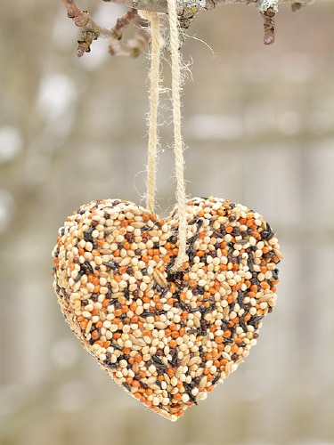 Homemade Christmas Ornaments from Birdseed