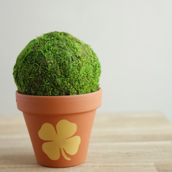 Gold Shamrock Flower Pots and Bows