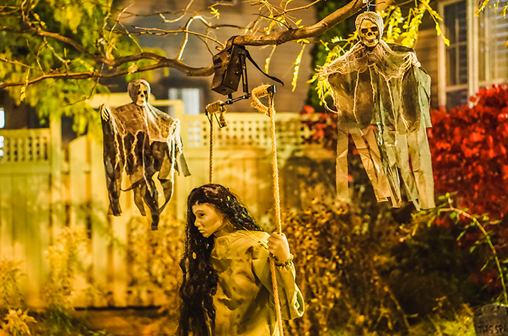 Halloween Decorations