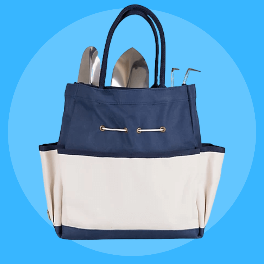 Picnic Time Tote