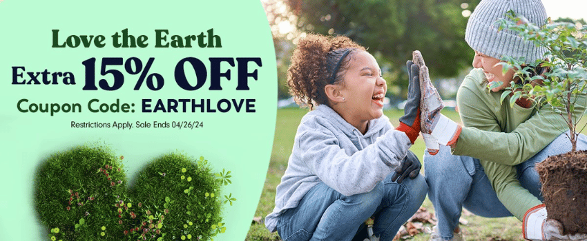 Eco-Friendly Coupon Code Example
