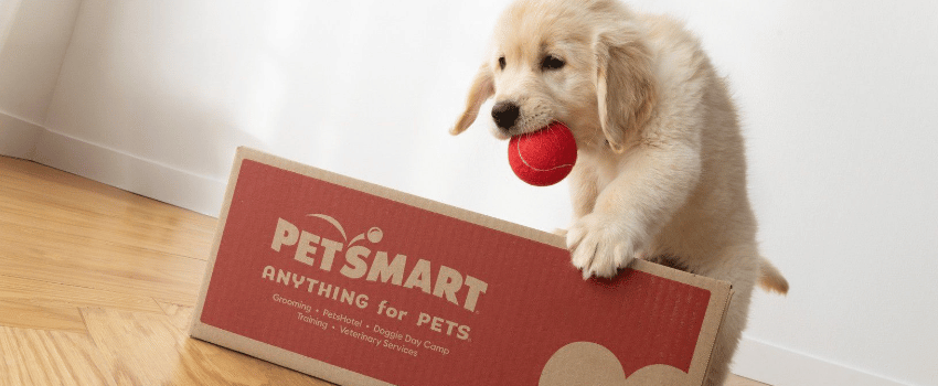 How to Save at PetSmart